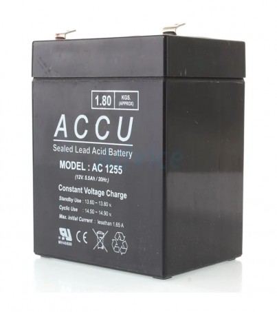 Battery 5.5Ah 12V ACCU By CKT (By SuperTStore)