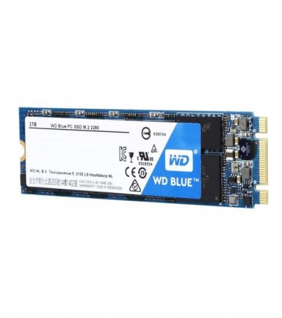 WDS100T1B0B/ WD SSD 1TB M.2