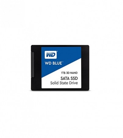 WD BLUE 3D NAND SSD 1 TB (WDS100T2BOA) 