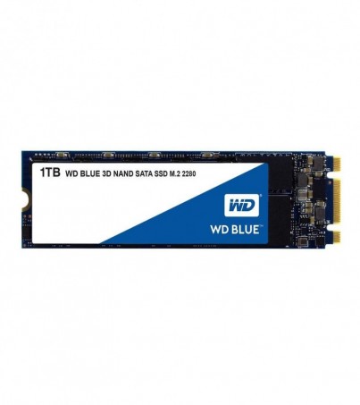 WD Blue M.2 3D NAND SATA SSD 1TB (WDS100T2B0B)