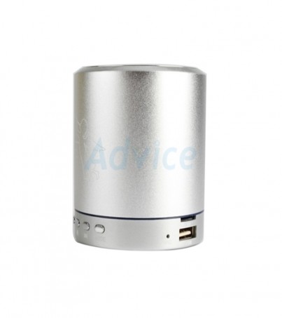 Toptech TOP 2020 + FM USB (Silver) 