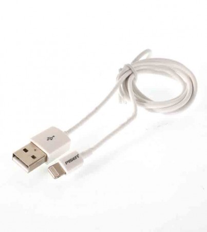 Cable Charger for iPhone (1M,AL05-1000,Fast) 'PISEN' White 