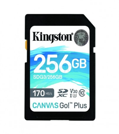 SD Card 256GB Kingston SDG3 (170MB/s.) By SuperTStore